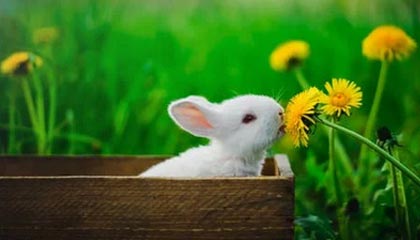 开云体育APP下载-【战术揭秘】马克·塞尔比：防守宽度与深度结合的绝技，马克塞尔比历史地位